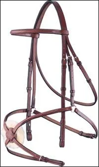 Quel est cet objet ?