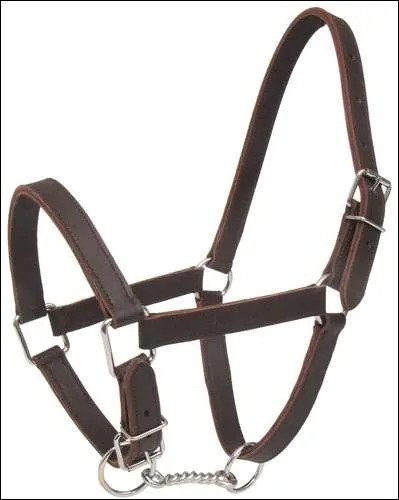 Quel est cet objet ?