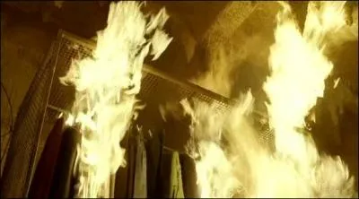 Comment se dclare l'incendie dans la maison de cire ?