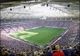 Quel joueur joue dans le Veltins Arena ?