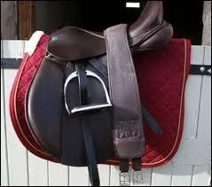 Pourquoi met-on un tapis de selle ?