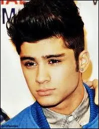 Quand Zayn est-il n ?