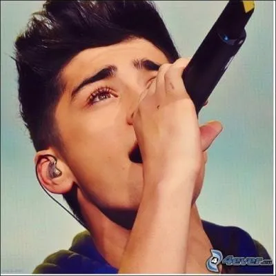 Quel tait le numro de Zayn lors de son audition  X Factor ?