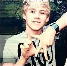 Que n'aime pas Niall ?