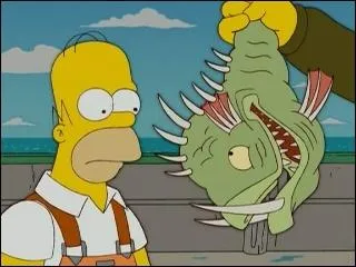 Comment s'appelle ce poisson ?