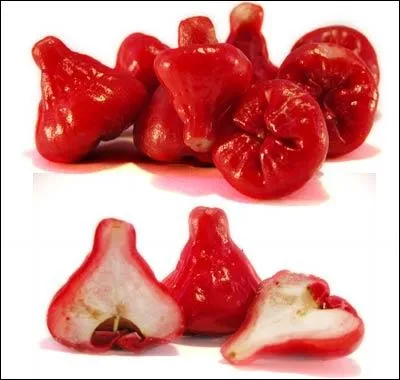 Quel est l'autre nom de la jambose ?