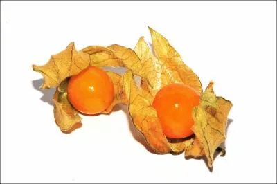 Comment s'appelle ce fruit trs dcoratif ?