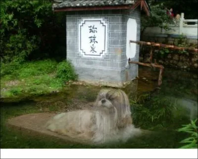 Dans quel endroit atypique ai-je pass un Meed Week ?