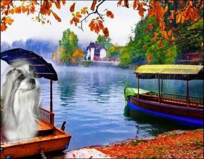 Quel est le dernier bateau sur lequel j'ai navigu ?