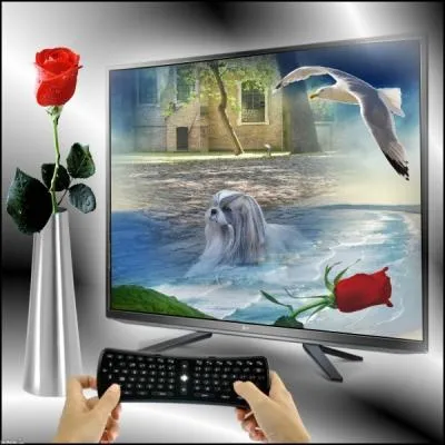 Quel est l'endroit o j'ai t pris en photos par plus de 30 personnes ?