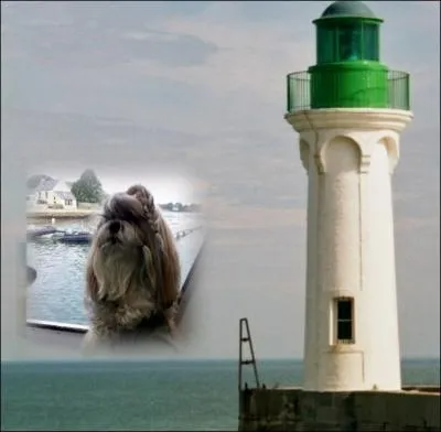 Sur quelle le ai-je servi de guide ?