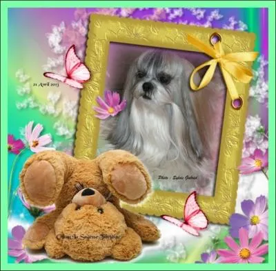 Combien ai-je de doudous  ce jour ?