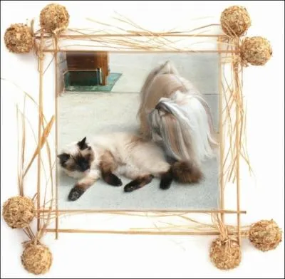 Quel est le prnom de ma dernire compagne de vacances ?