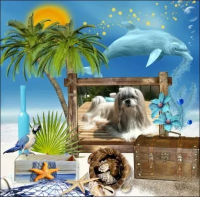 Quelle est ma prochaine destination vacances ?