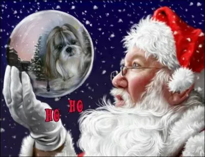 Quel est mon dernier  March de Nol  ?