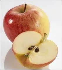 Comment s'appelle ce fruit ?