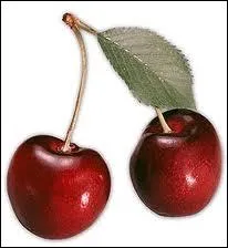 Comment s'appelle ce fruit ,