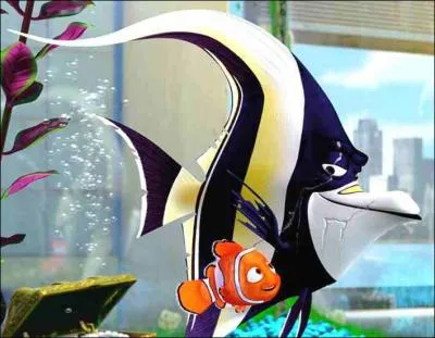 Je subodore qu'il y a anguille sous roche... Comment vais-je le dire  James ?