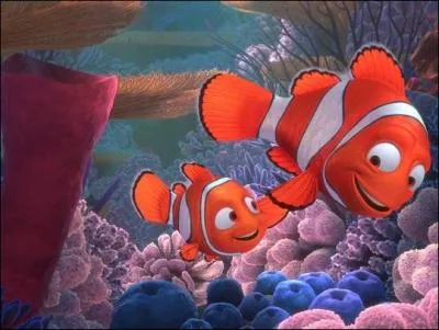 Tout le monde sait que  Petit poisson deviendra grand . En anglais, on dit... ?