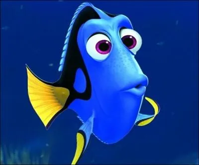 Que faire avec un jelly fish ?