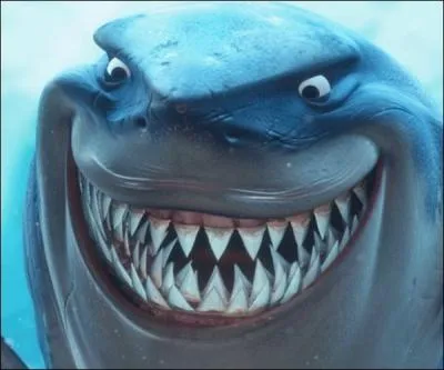 Dis bonjour au  vieux loup de mer ...