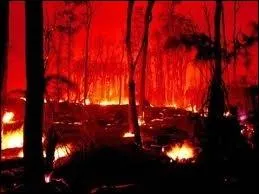  *************** est la plus massive. Prs de 95 % de la vie marine disparat ainsi que 70 % des espces terrestres (plantes, animaux).