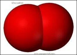 L'apparition du dioxygne est d :