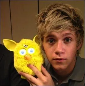 Quel tait le numro de Niall  X Factor ?