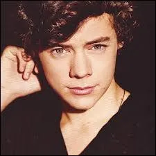  Somebody needs help ? Superman is here !  , qui a prononc cette phrase lors d'une des vidos diaries ?