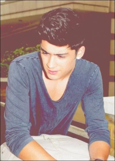 Quel est le vrai prnom de Zayn ?