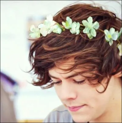 Harry a pour habitude de...