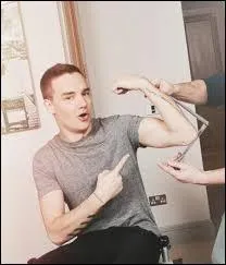 Dans quelle muse les sculptures des One Direction ont-elles t exposs ?