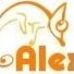 Quiz Site internet