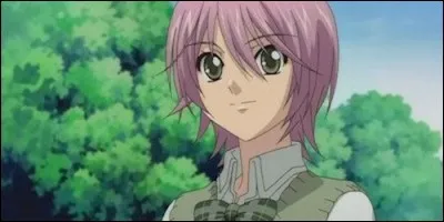 Lequel de ces garçons Sakura devait-elle épouser avant de rencontrer son prince charmant, qui n'est autre que Jun ?