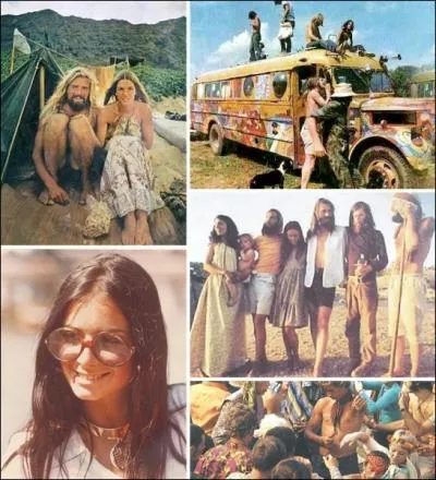 Que veut dire  hippies  ?