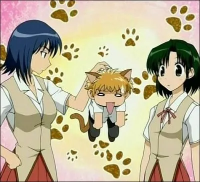 (p. 18 - Les Amours de Karen, c'est pas encore a) Imadori et Karen ichij se retrouvent ensemble de corve... Mais quelle est cette corve justement ?