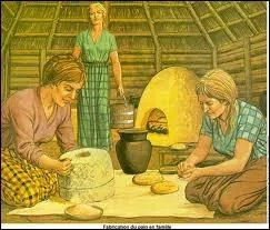 Avec quoi, particulirement, les gaulois pratiquent-ils le commerce ?