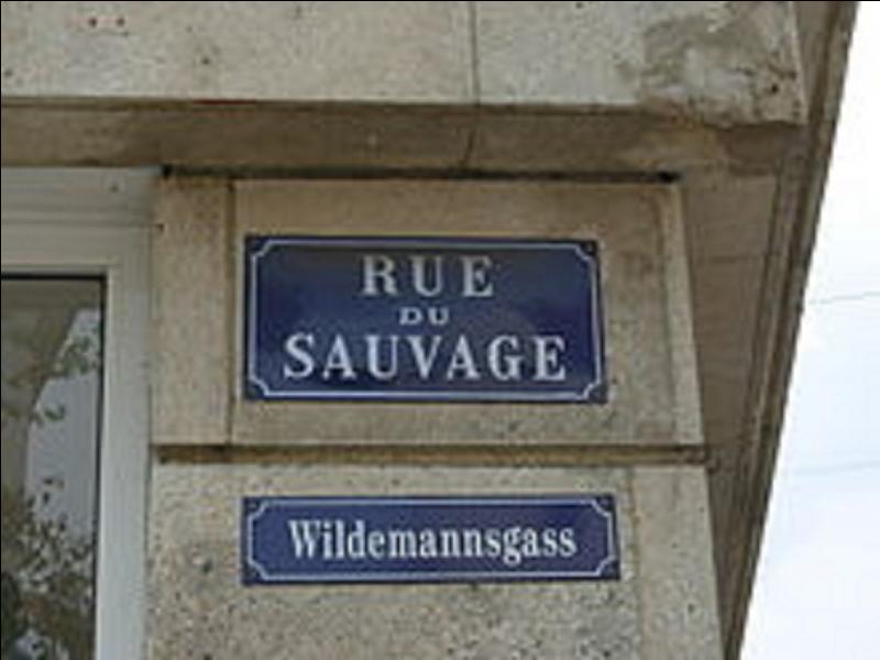 A Mulhouse, en zone occupée, une rue fut renommée par les allemands. Cette rue devint la « rue Adolf Hitler » Quel était le nom français de cette rue ?