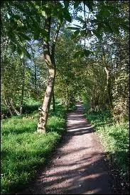 En promenade dans la nature, il faut...
