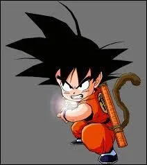Grce  qui Goku matrise-t-il le Kamehameha ?
