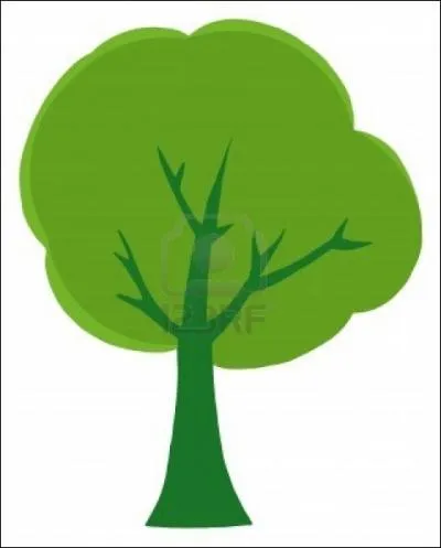 A la Saint-Robert, tout l'arbre est__________ .