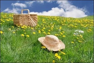 Juillet ensoleill, remplit___________.