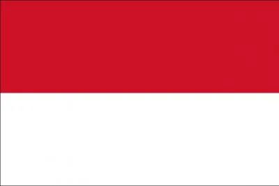 De quel pays provient ce drapeau ?