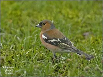 Quel est celui-là ?