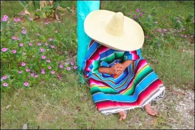 Un mexicain basan� / Est allong� sur le sol / Un sombrero sur le nez / En guise de parasol !