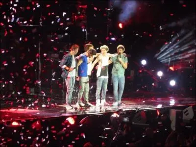 Quel est le surnom donn au groupe ?