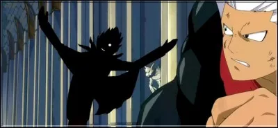 (Épisode 24) 
Que se passe-t-il lors du combat entre Mister Sol et Elfman ? 
(2 réponses)