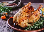 Quiz Drôles d'oiseaux !