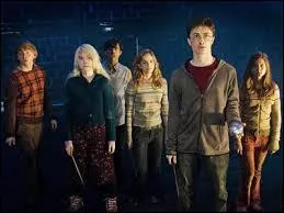 Compltez cette phrase : Ginny n'aime pas _________ au dpart.