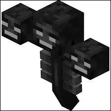 Comment se nomme ce monstre ?